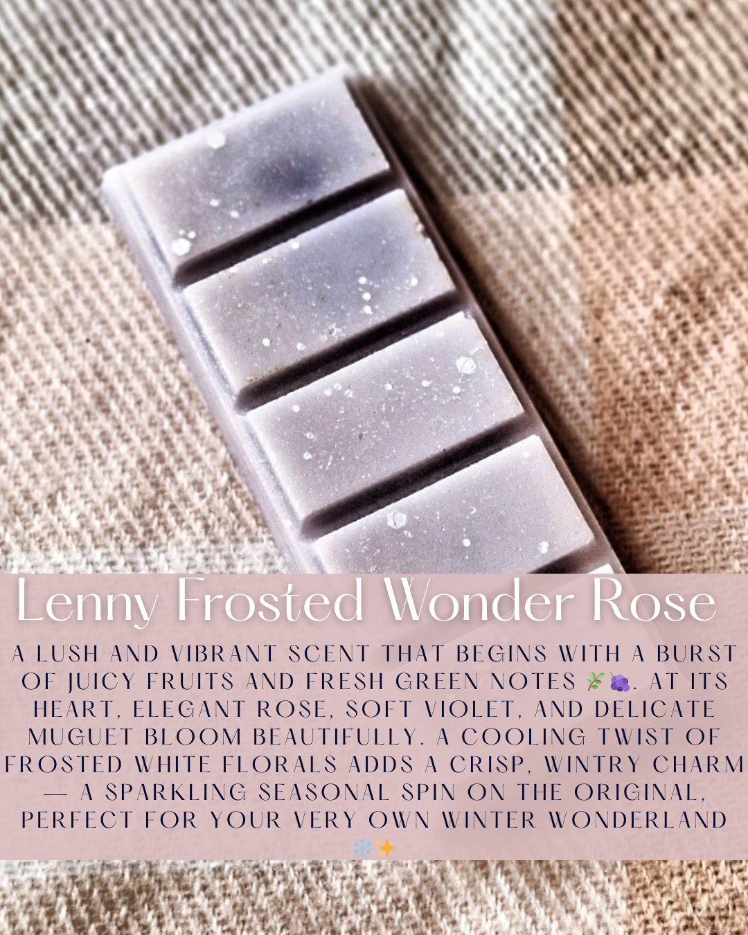 Lenny Frosted Wonder Rose