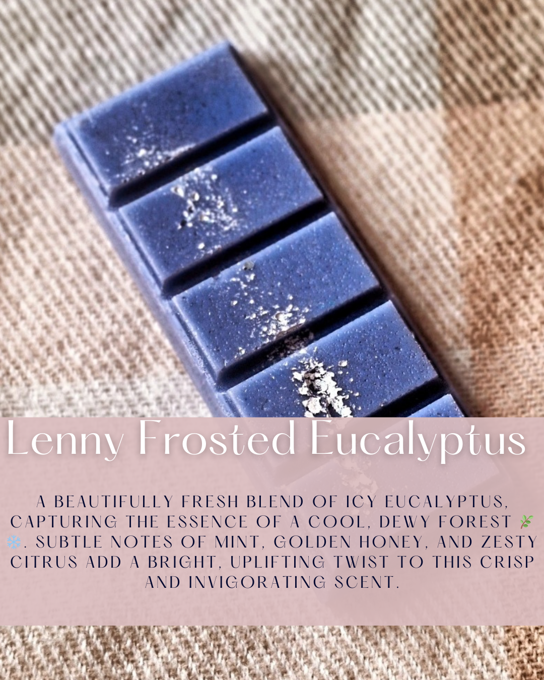 Lenny Frosted Eucalyptus