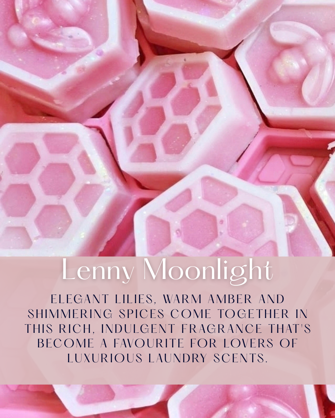 NEW- Lenny Moonlight