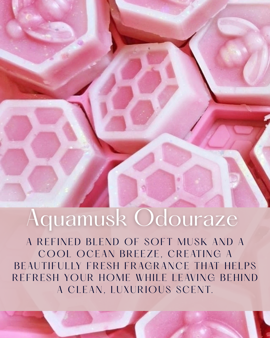 NEW-Aquamusk Odouraze