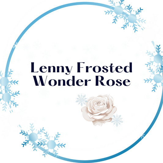 Lenny Frosted Wonder Rose