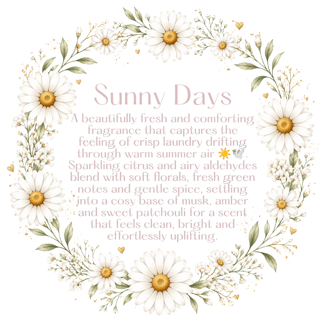 Daisy Disc