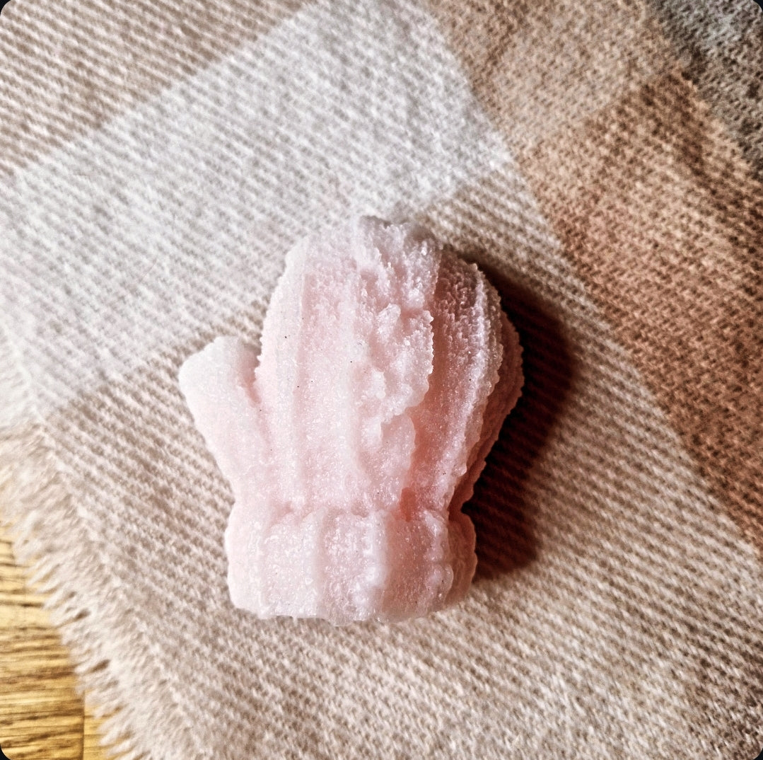 Lenny Frosted Eucalyptus