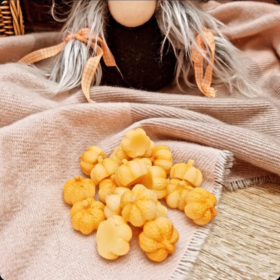 Wax Of The Week- Pumpkin Scoopie Bag